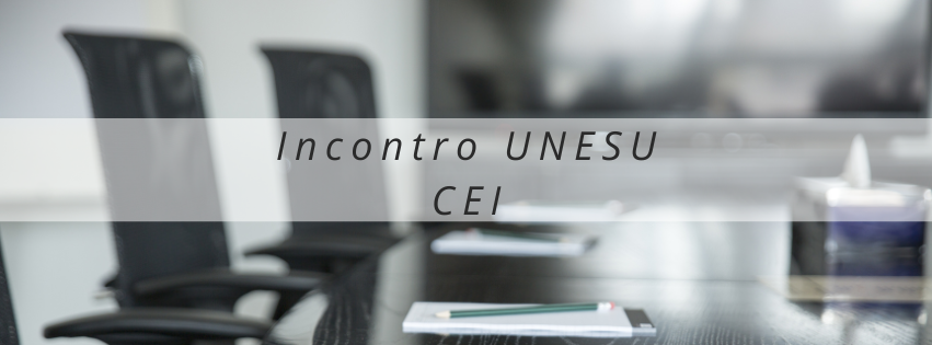 Incontro Consulta Nazionale dell’Unesu